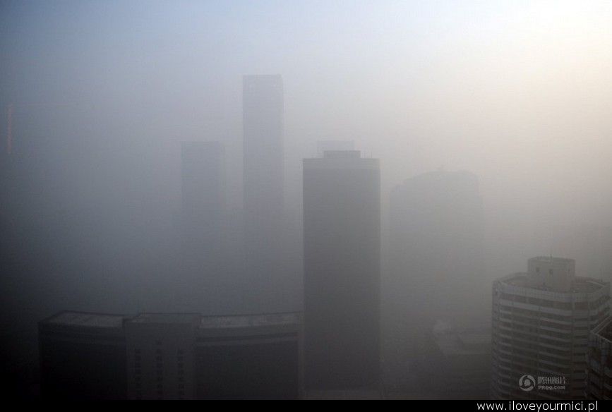 bezpośredni importer z azji handel z chinami handel z azją