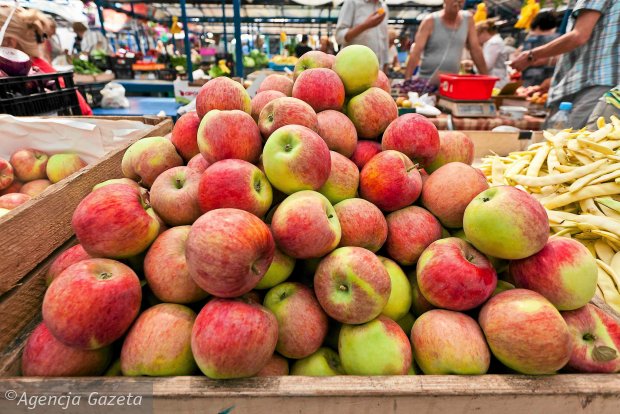 Kto Zajmuje się Importem z Indii handel azja