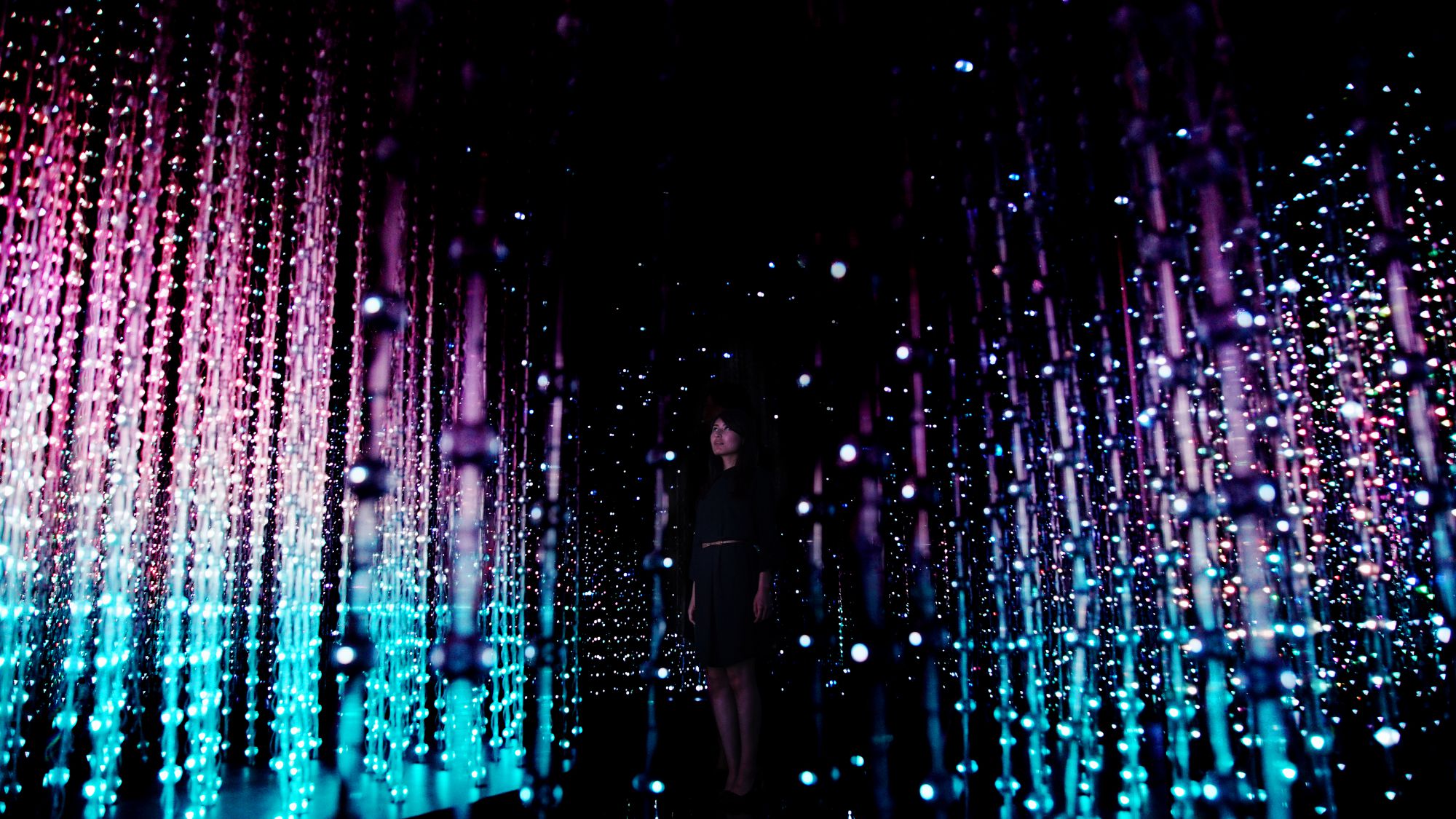 Wystawa TeamLAB w Japonii - AsiaConnect